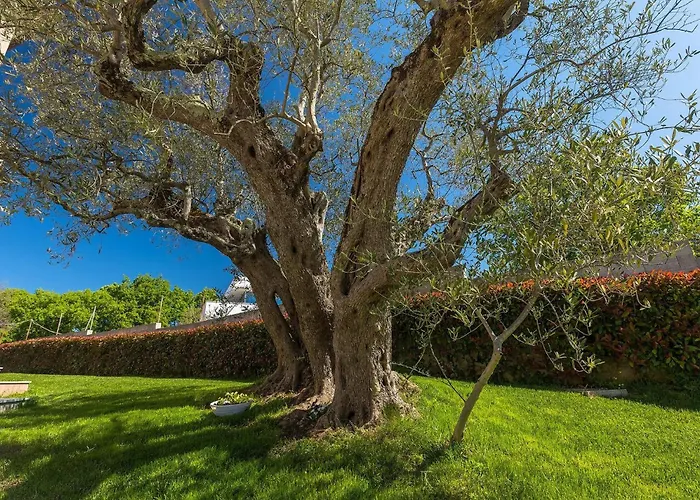 Stephanie Vakantiehuis