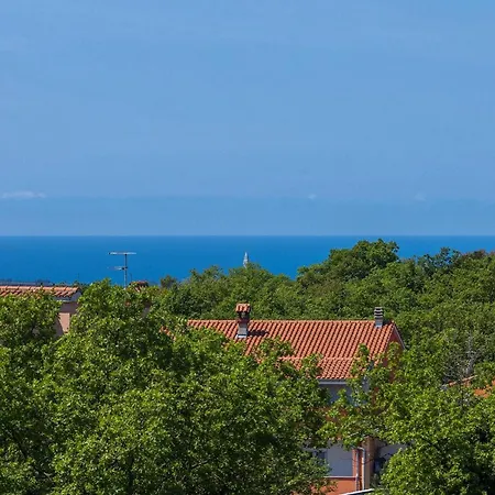 Stephanie ロヴィニ