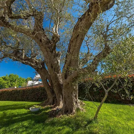 Stephanie Holiday home